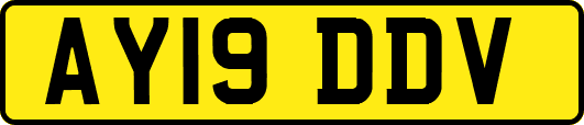 AY19DDV