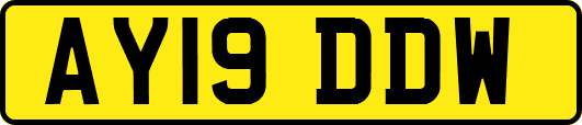 AY19DDW