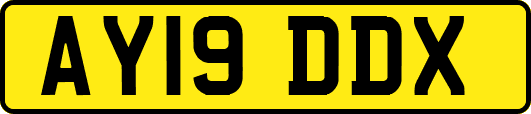 AY19DDX