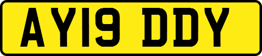AY19DDY