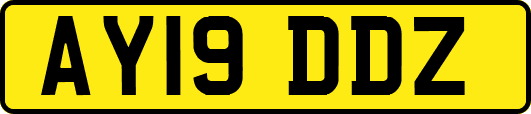 AY19DDZ