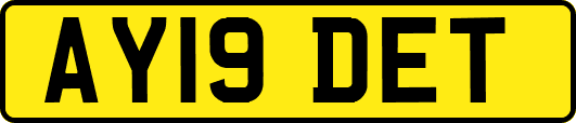 AY19DET