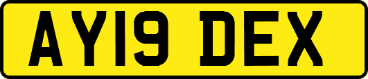 AY19DEX