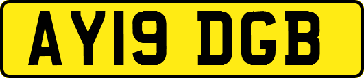 AY19DGB