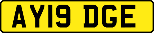 AY19DGE