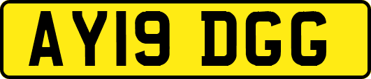 AY19DGG