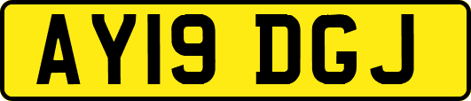 AY19DGJ