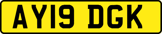 AY19DGK