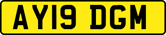AY19DGM