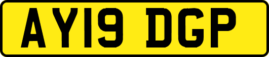 AY19DGP