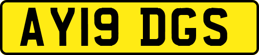 AY19DGS