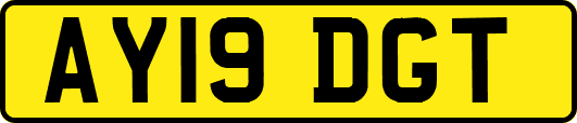 AY19DGT
