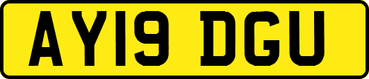 AY19DGU