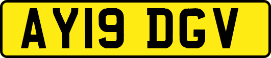 AY19DGV