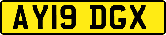 AY19DGX