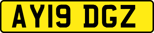 AY19DGZ