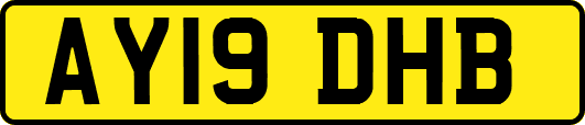 AY19DHB