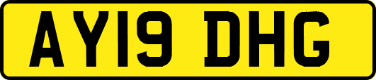 AY19DHG