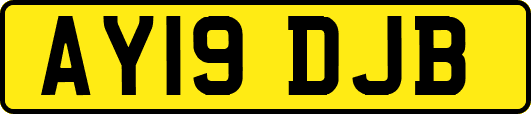 AY19DJB