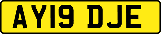 AY19DJE