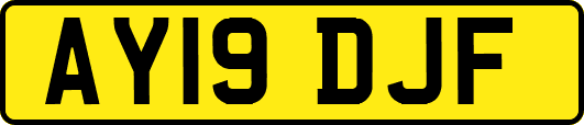 AY19DJF