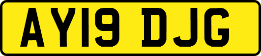 AY19DJG