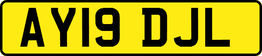 AY19DJL