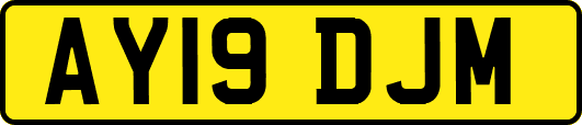 AY19DJM