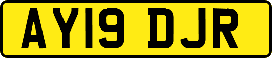 AY19DJR