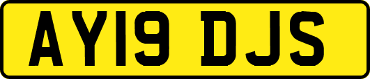 AY19DJS