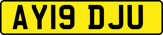 AY19DJU