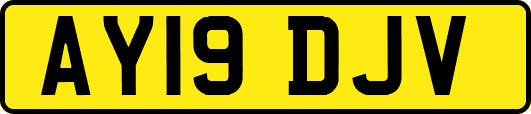 AY19DJV