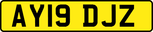 AY19DJZ