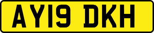 AY19DKH