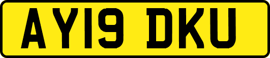 AY19DKU