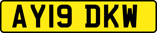 AY19DKW