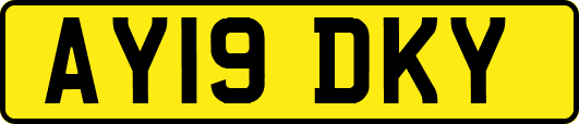 AY19DKY