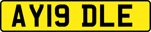 AY19DLE