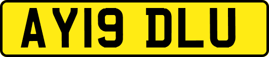 AY19DLU