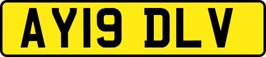 AY19DLV