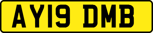 AY19DMB