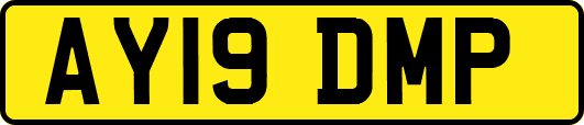 AY19DMP