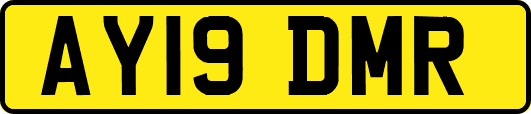 AY19DMR