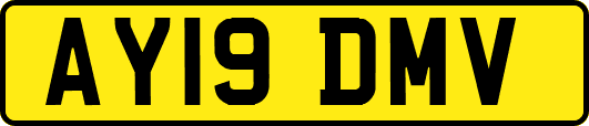 AY19DMV