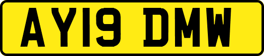 AY19DMW