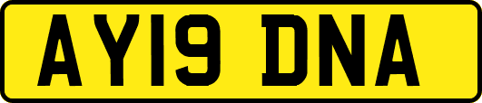 AY19DNA