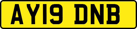 AY19DNB