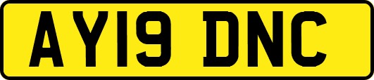 AY19DNC