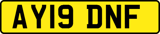AY19DNF