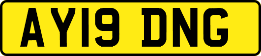 AY19DNG